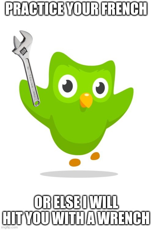 run | PRACTICE YOUR FRENCH; OR ELSE I WILL HIT YOU WITH A WRENCH | image tagged in duolingo | made w/ Imgflip meme maker
