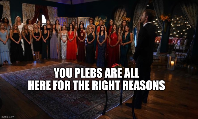 YOU PLEBS ARE ALL HERE FOR THE RIGHT REASONS | made w/ Imgflip meme maker