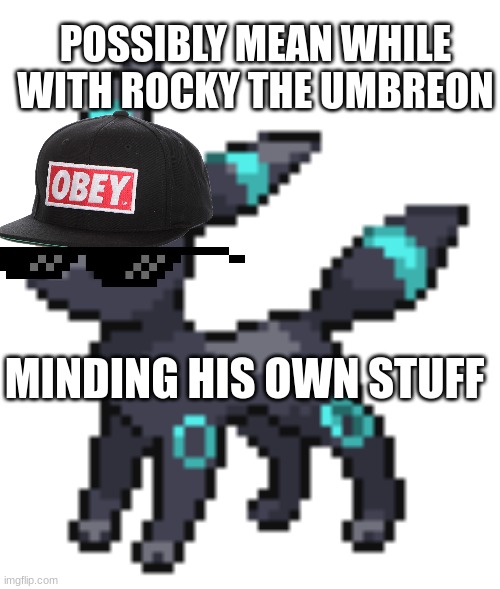 rocky the umbreon | MINDING HIS OWN STUFF POSSIBLY MEAN WHILE WITH ROCKY THE UMBREON | image tagged in rocky the umbreon | made w/ Imgflip meme maker