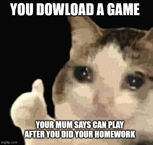 sad thumbs up cat |  YOU DOWLOAD A GAME; YOUR MUM SAYS CAN PLAY AFTER YOU DID YOUR HOMEWORK | image tagged in sad thumbs up cat | made w/ Imgflip meme maker