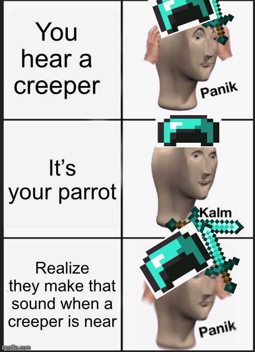 Creeper | You hear a creeper; It’s your parrot; Realize they make that sound when a creeper is near | image tagged in memes,panik kalm panik | made w/ Imgflip meme maker