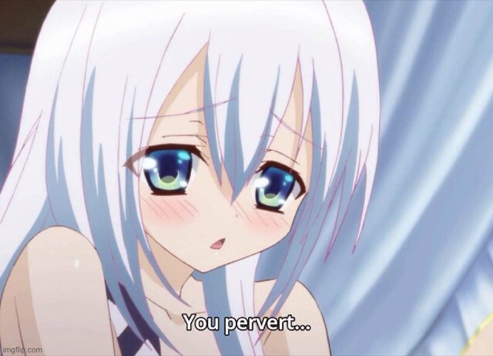 you pervert | image tagged in you pervert | made w/ Imgflip meme maker