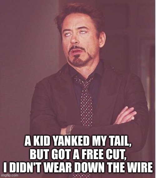 Face You Make Robert Downey Jr | A KID YANKED MY TAIL, BUT GOT A FREE CUT, I DIDN'T WEAR DOWN THE WIRE | image tagged in memes,face you make robert downey jr | made w/ Imgflip meme maker