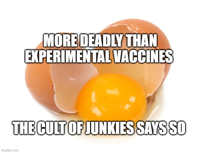 broken egg | MORE DEADLY THAN EXPERIMENTAL VACCINES; THE CULT OF JUNKIES SAYS SO | image tagged in broken egg | made w/ Imgflip meme maker