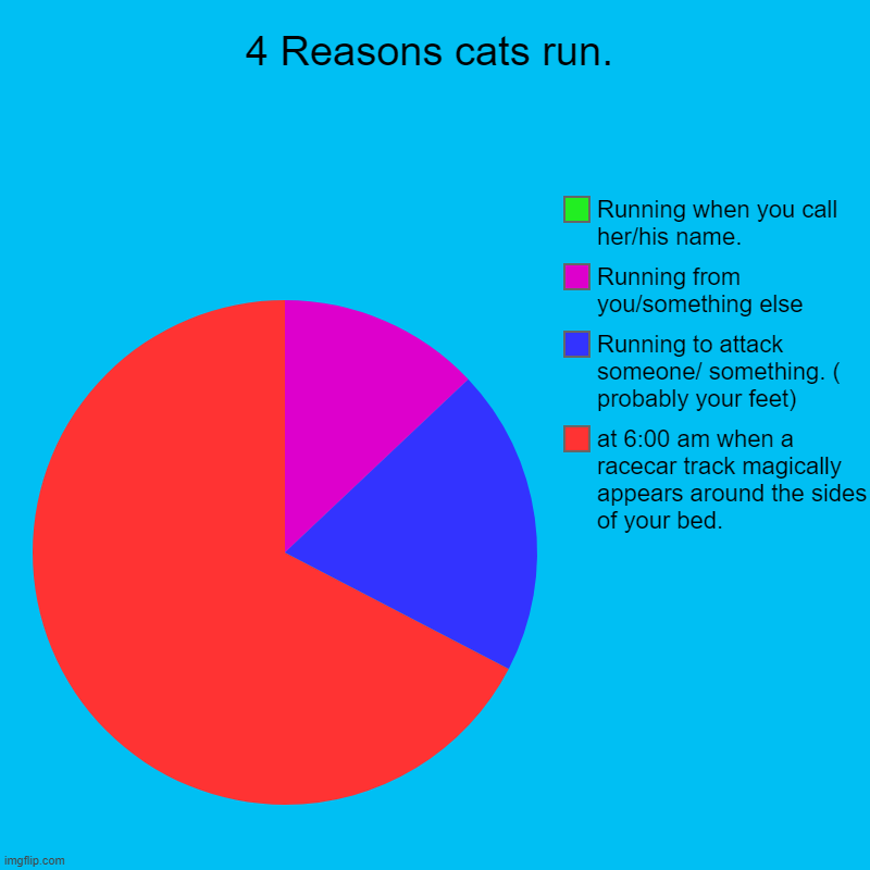 GRRR! LET ME SLEEP!!! | 4 Reasons cats run. | at 6:00 am when a racecar track magically appears around the sides of your bed., Running to attack someone/ something. | image tagged in funny,pie charts,running cats,lol so funny,lolz | made w/ Imgflip chart maker