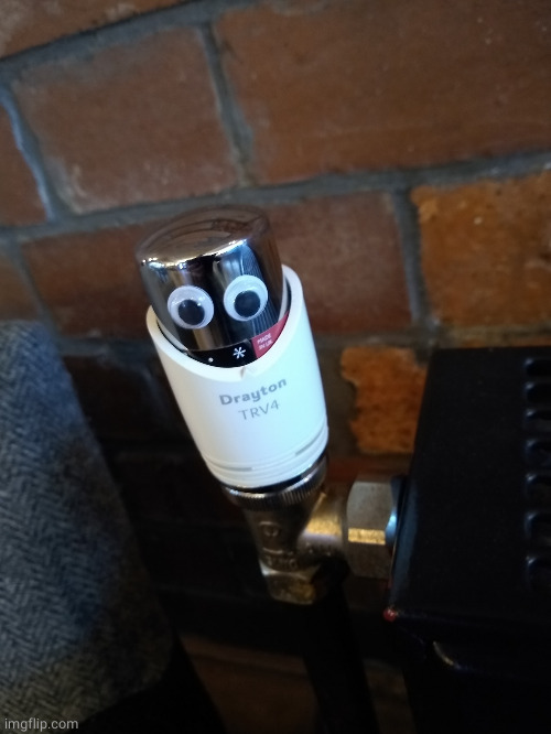 Googly eyes | image tagged in googly eyes | made w/ Imgflip meme maker