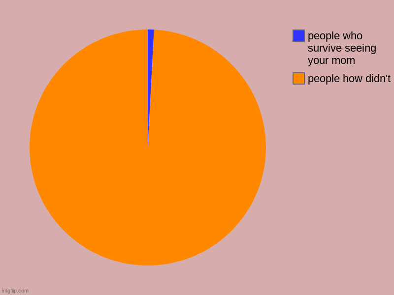 people how didn't, people who survive seeing your mom | image tagged in charts,pie charts | made w/ Imgflip chart maker