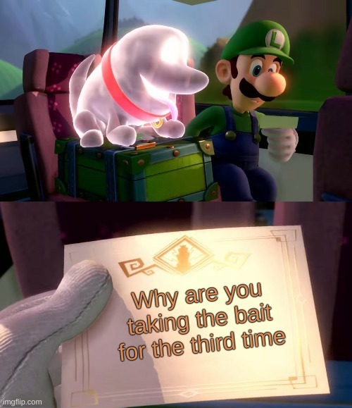 LUIGI STOP FALLING FOR IT MAN | Why are you taking the bait for the third time | image tagged in luigi's mansion 3 intro letter | made w/ Imgflip meme maker