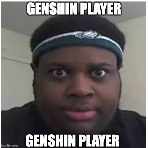 GENSHIN PLAYER; GENSHIN PLAYER | image tagged in funny | made w/ Imgflip meme maker
