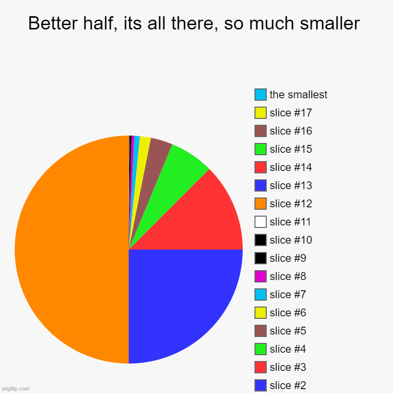 Better half | Better half, its all there, so much smaller |, the smallest | image tagged in charts,pie charts | made w/ Imgflip chart maker