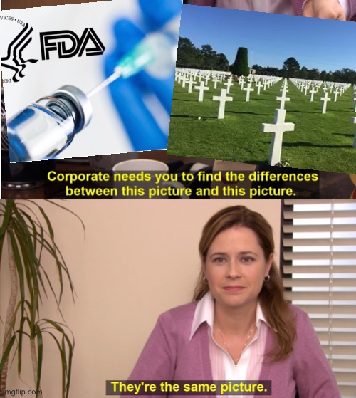 They're The Same Picture | image tagged in memes,they're the same picture | made w/ Imgflip meme maker