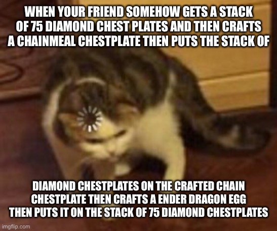 Loading cat |  WHEN YOUR FRIEND SOMEHOW GETS A STACK OF 75 DIAMOND CHEST PLATES AND THEN CRAFTS A CHAINMEAL CHESTPLATE THEN PUTS THE STACK OF; DIAMOND CHESTPLATES ON THE CRAFTED CHAIN CHESTPLATE THEN CRAFTS A ENDER DRAGON EGG THEN PUTS IT ON THE STACK OF 75 DIAMOND CHESTPLATES | image tagged in loading cat | made w/ Imgflip meme maker