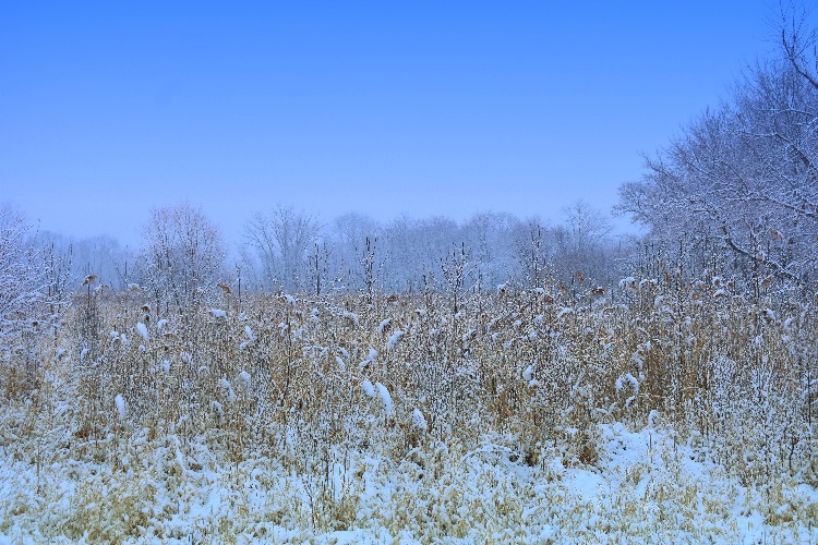 winter field | image tagged in field,winter,kewlew | made w/ Imgflip meme maker
