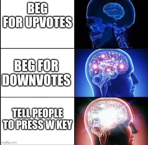 1000 IQ | BEG FOR UPVOTES; BEG FOR DOWNVOTES; TELL PEOPLE TO PRESS W KEY | image tagged in 1000 iq,upvotes,upvote begging,big brain | made w/ Imgflip meme maker