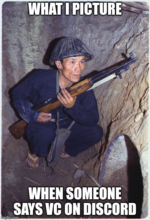 Vietcong Soilder | WHAT I PICTURE; WHEN SOMEONE SAYS VC ON DISCORD | image tagged in vietcong soilder | made w/ Imgflip meme maker