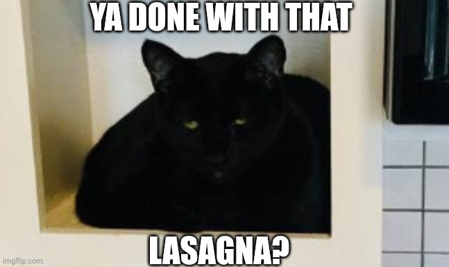 YA DONE WITH THAT LASAGNA? | made w/ Imgflip meme maker