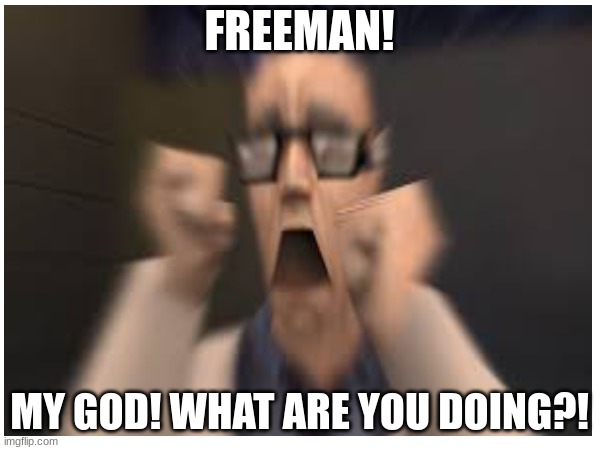 FREEMAN! MY GOD! WHAT ARE YOU DOING?! | made w/ Imgflip meme maker