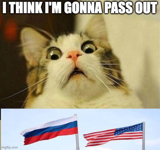 Scared Cat | I THINK I'M GONNA PASS OUT | image tagged in memes,scared cat,funny,russia,usa | made w/ Imgflip meme maker