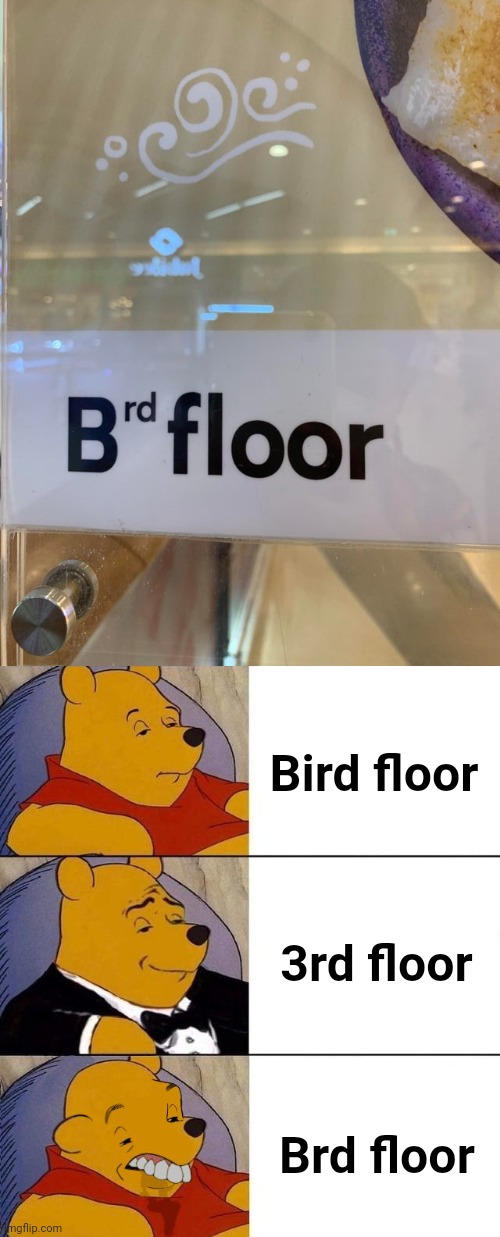 Brd floor | Bird floor; 3rd floor; Brd floor | image tagged in best better blurst,you had one job,3rd floor,memes,floor,design fails | made w/ Imgflip meme maker