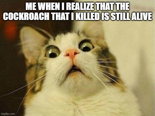The feeling of true fear T-T | ME WHEN I REALIZE THAT THE COCKROACH THAT I KILLED IS STILL ALIVE | image tagged in memes,scared cat | made w/ Imgflip meme maker