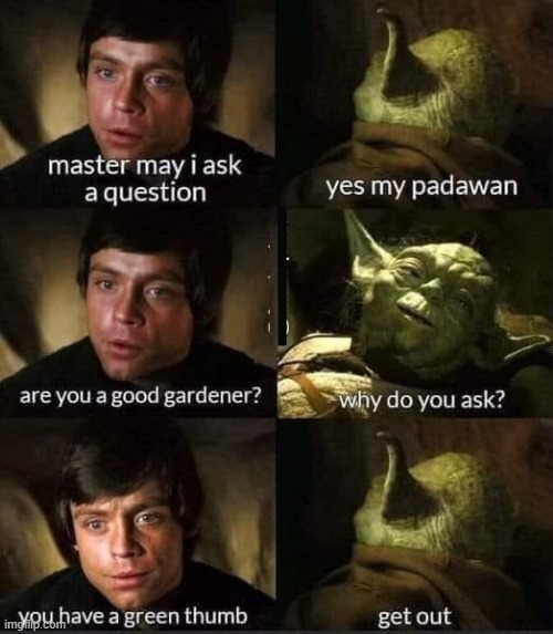 Yoda the Gardener | image tagged in yoda | made w/ Imgflip meme maker