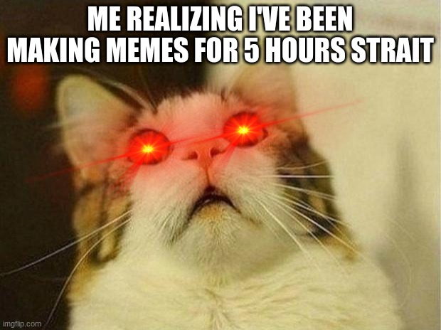 Scared Cat | ME REALIZING I'VE BEEN MAKING MEMES FOR 5 HOURS STRAIT | image tagged in memes,scared cat | made w/ Imgflip meme maker