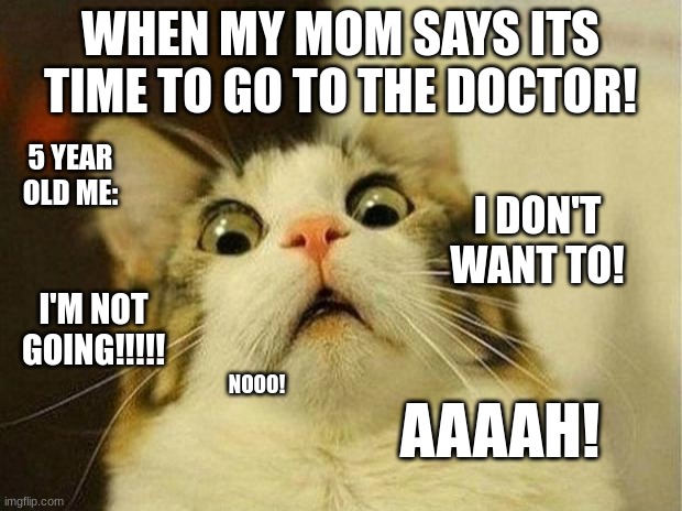 5 year old me going to the doctor... | WHEN MY MOM SAYS ITS TIME TO GO TO THE DOCTOR! 5 YEAR OLD ME:; I DON'T WANT TO! I'M NOT GOING!!!!! NOOO! AAAAH! | image tagged in memes,scared cat | made w/ Imgflip meme maker