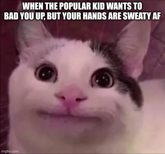 Thank you puberty, for absolutley nothing but embaressment | WHEN THE POPULAR KID WANTS TO BAD YOU UP, BUT YOUR HANDS ARE SWEATY AF | image tagged in awkward smile cat | made w/ Imgflip meme maker