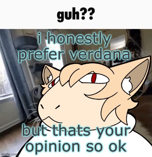 Guh?? | i honestly prefer verdana but thats your opinion so ok | image tagged in guh | made w/ Imgflip meme maker