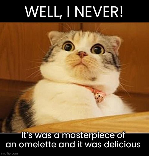 WELL, I NEVER! It’s was a masterpiece of an omelette and it was delicious | made w/ Imgflip meme maker