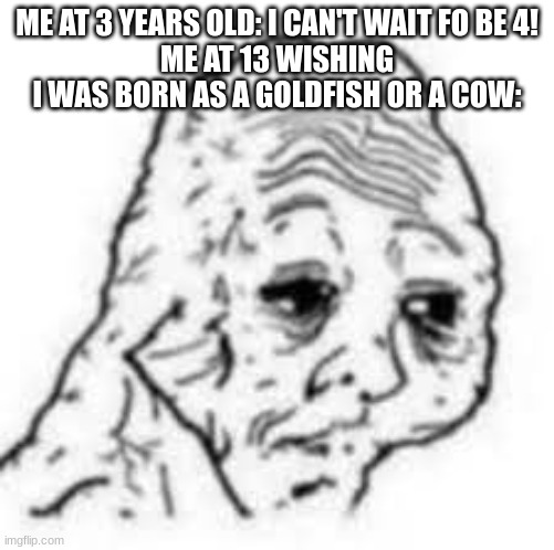 ME AT 3 YEARS OLD: I CAN'T WAIT FO BE 4!
ME AT 13 WISHING I WAS BORN AS A GOLDFISH OR A COW: | made w/ Imgflip meme maker