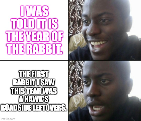 Happy / Shock | I WAS TOLD IT IS THE YEAR OF THE RABBIT. THE FIRST RABBIT I SAW THIS YEAR WAS A HAWK'S ROADSIDE LEFTOVERS. | image tagged in happy / shock,depression_memes | made w/ Imgflip meme maker