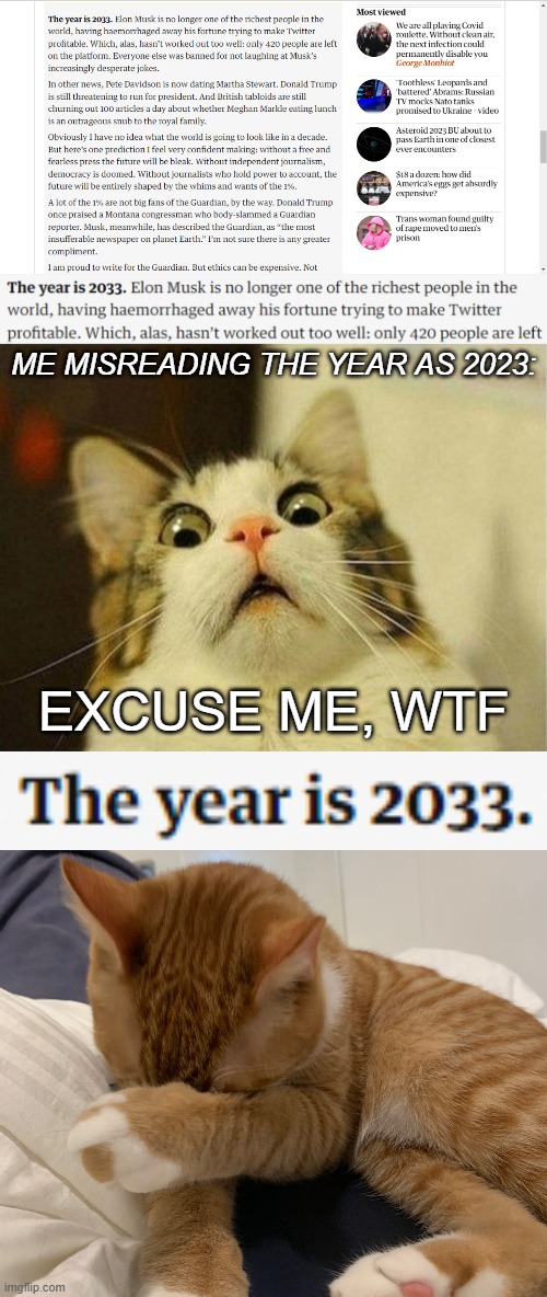 Message from the Guardian | ME MISREADING THE YEAR AS 2023:; EXCUSE ME, WTF | image tagged in elon musk hemorrhaged his money,memes,scared cat,cat face palm,cats,confused | made w/ Imgflip meme maker
