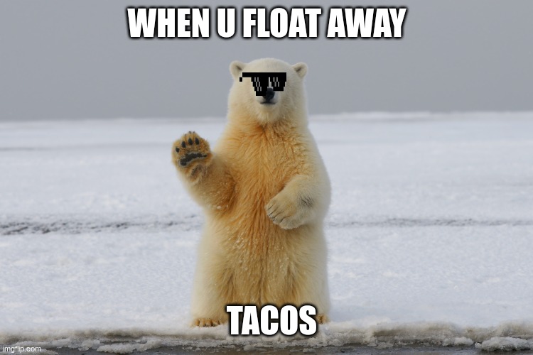 endangered animals | WHEN U FLOAT AWAY; TACOS | image tagged in save me | made w/ Imgflip meme maker
