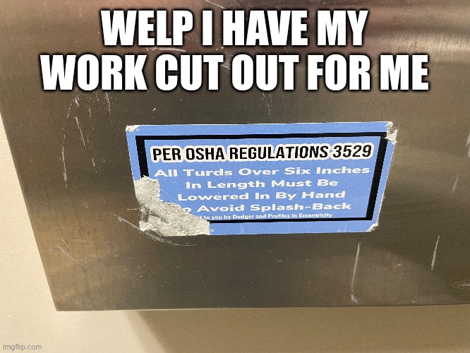 Saw this in a gas station bathroom lol | WELP I HAVE MY WORK CUT OUT FOR ME | image tagged in gas station,bathroom,bathroom humor,poop,wierd,funny | made w/ Imgflip meme maker