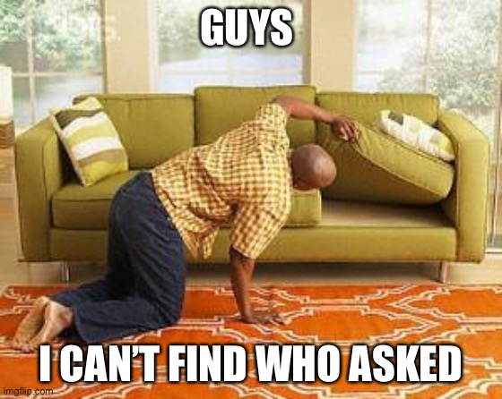 searching  | GUYS I CAN’T FIND WHO ASKED | image tagged in searching | made w/ Imgflip meme maker