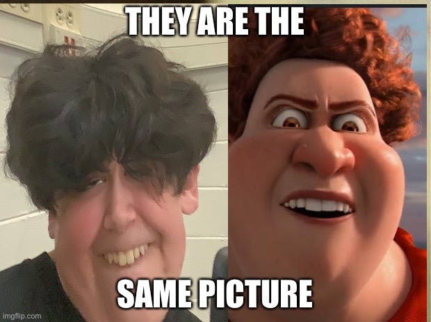 The same | THEY ARE THE; SAME PICTURE | image tagged in they're the same picture | made w/ Imgflip meme maker