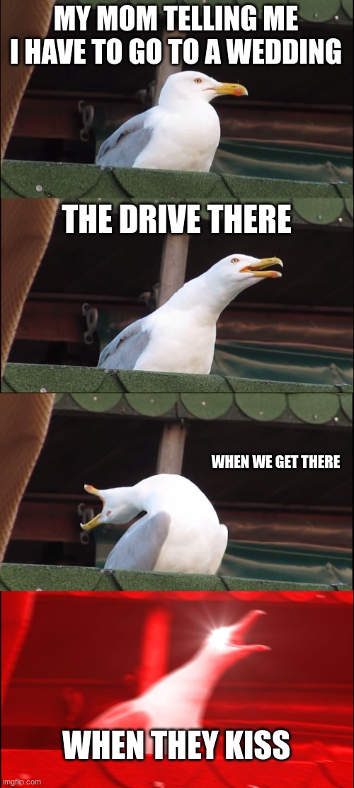 weddings be like | MY MOM TELLING ME I HAVE TO GO TO A WEDDING; THE DRIVE THERE; WHEN WE GET THERE; WHEN THEY KISS | image tagged in memes,inhaling seagull | made w/ Imgflip meme maker