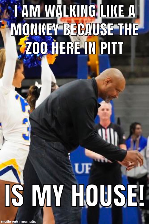 image tagged in jeff chapel monkey walk | made w/ Imgflip meme maker