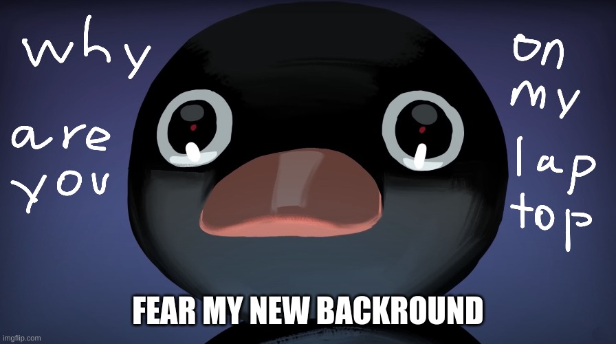 why not | FEAR MY NEW BACKROUND | image tagged in noot noot | made w/ Imgflip meme maker
