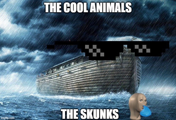 :) |  THE COOL ANIMALS; THE SKUNKS | image tagged in noah's ark,skunk | made w/ Imgflip meme maker