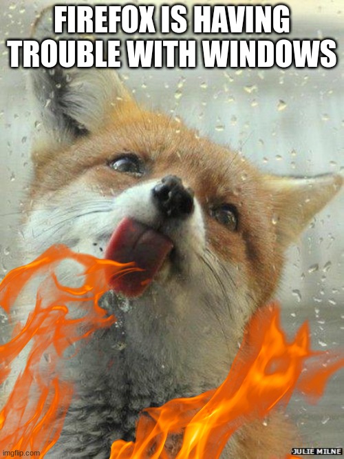 FIREFOX IS HAVING TROUBLE WITH WINDOWS | image tagged in firefox,windows,funny,funny memes | made w/ Imgflip meme maker