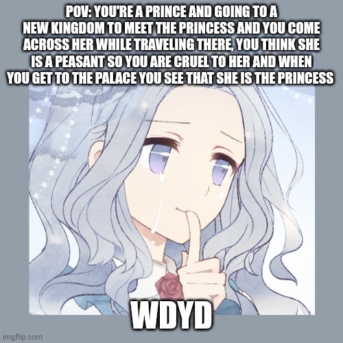 Normal rules apply here. Straight male ocs pleasr | POV: YOU'RE A PRINCE AND GOING TO A NEW KINGDOM TO MEET THE PRINCESS AND YOU COME ACROSS HER WHILE TRAVELING THERE, YOU THINK SHE IS A PEASANT SO YOU ARE CRUEL TO HER AND WHEN YOU GET TO THE PALACE YOU SEE THAT SHE IS THE PRINCESS; WDYD | made w/ Imgflip meme maker