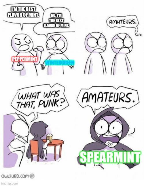 Mint (And I know wintergreen isn't a true mint, but whatever) | I'M THE BEST FLAVOR OF MINT. NO, I'M THE BEST FLAVOR OF MINT. PEPPERMINT; WINTERGREEN; SPEARMINT | image tagged in amateurs,mint,funny,fun,memes,stop reading these tags | made w/ Imgflip meme maker