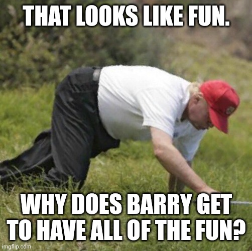 trump crawling | THAT LOOKS LIKE FUN. WHY DOES BARRY GET TO HAVE ALL OF THE FUN? | image tagged in trump crawling | made w/ Imgflip meme maker