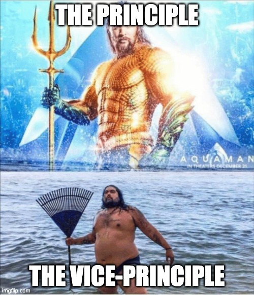 Image Title | THE PRINCIPLE; THE VICE-PRINCIPLE | image tagged in high quality vs low quality aquaman | made w/ Imgflip meme maker