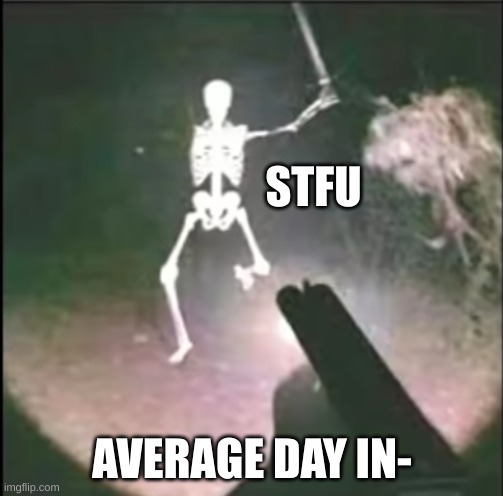 The skeleton is pissed | STFU; AVERAGE DAY IN- | image tagged in skeleton attack | made w/ Imgflip meme maker