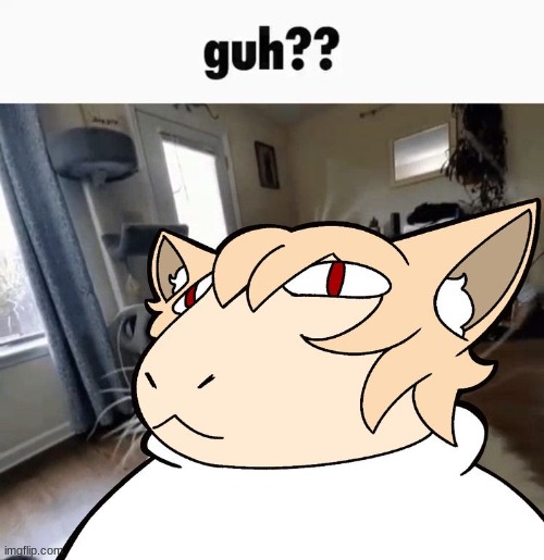 Guh?? | image tagged in guh | made w/ Imgflip meme maker