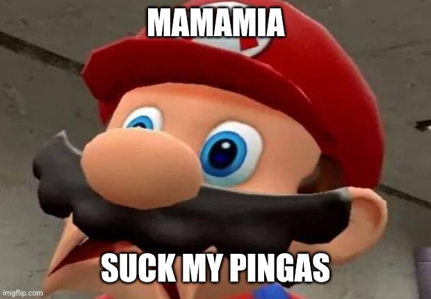 Mario WTF | MAMAMIA; SUCK MY PINGAS | image tagged in mario wtf | made w/ Imgflip meme maker