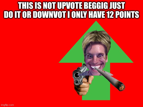 Is that how it works i'm new | THIS IS NOT UPVOTE BEGGIG JUST DO IT OR DOWNVOT I ONLY HAVE 12 POINTS | image tagged in no upvotes,dont upvote | made w/ Imgflip meme maker